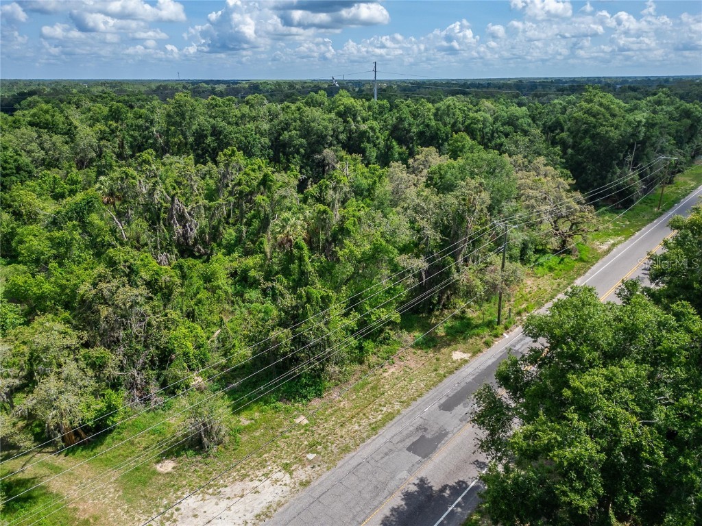 9512 Harney Road Thonotosassa FL 33592 TB8412286 image8