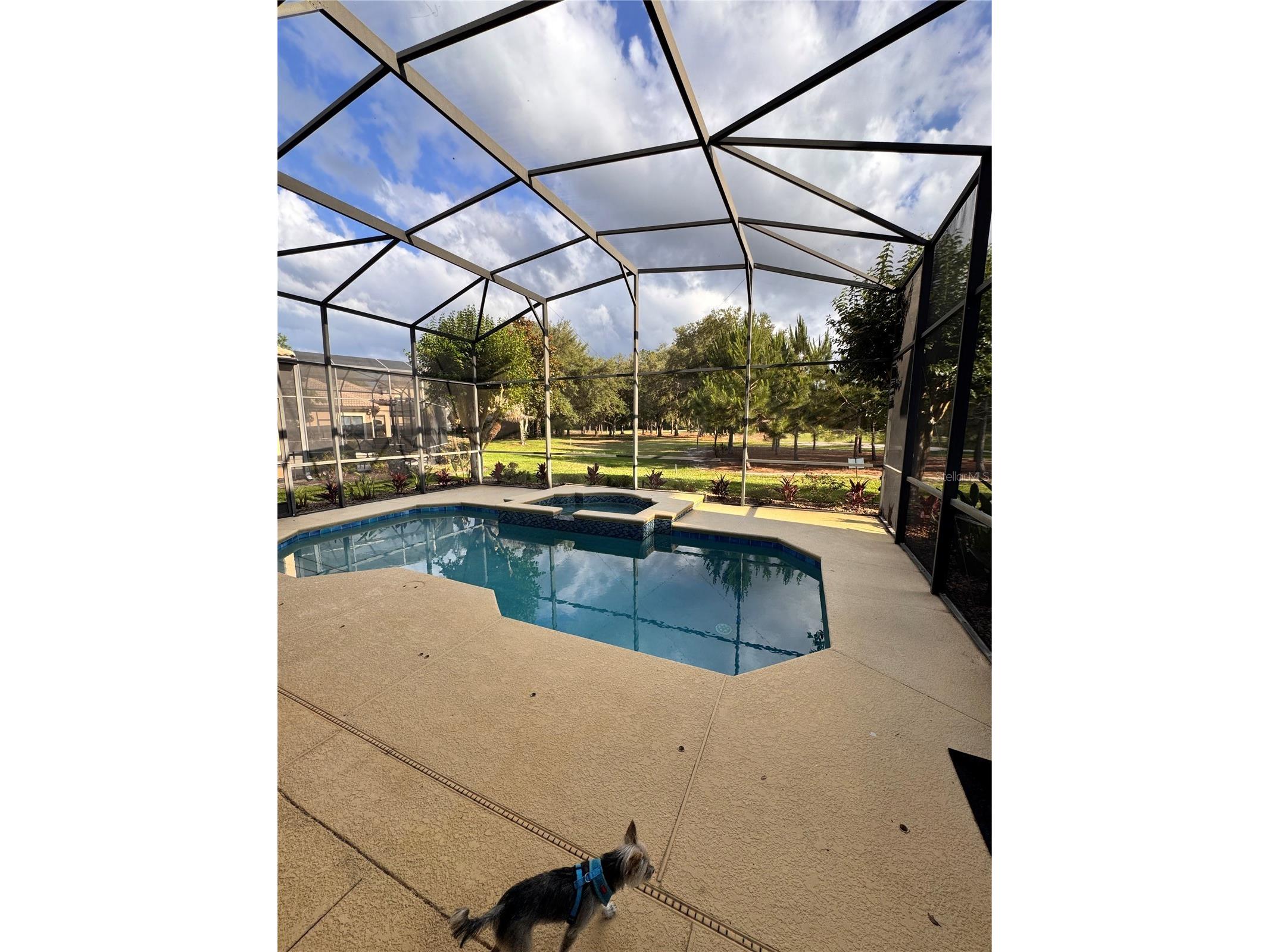 9512 Serra Court Howey In The Hills FL 34737 - HARRIS CHAIN G5109364 image17