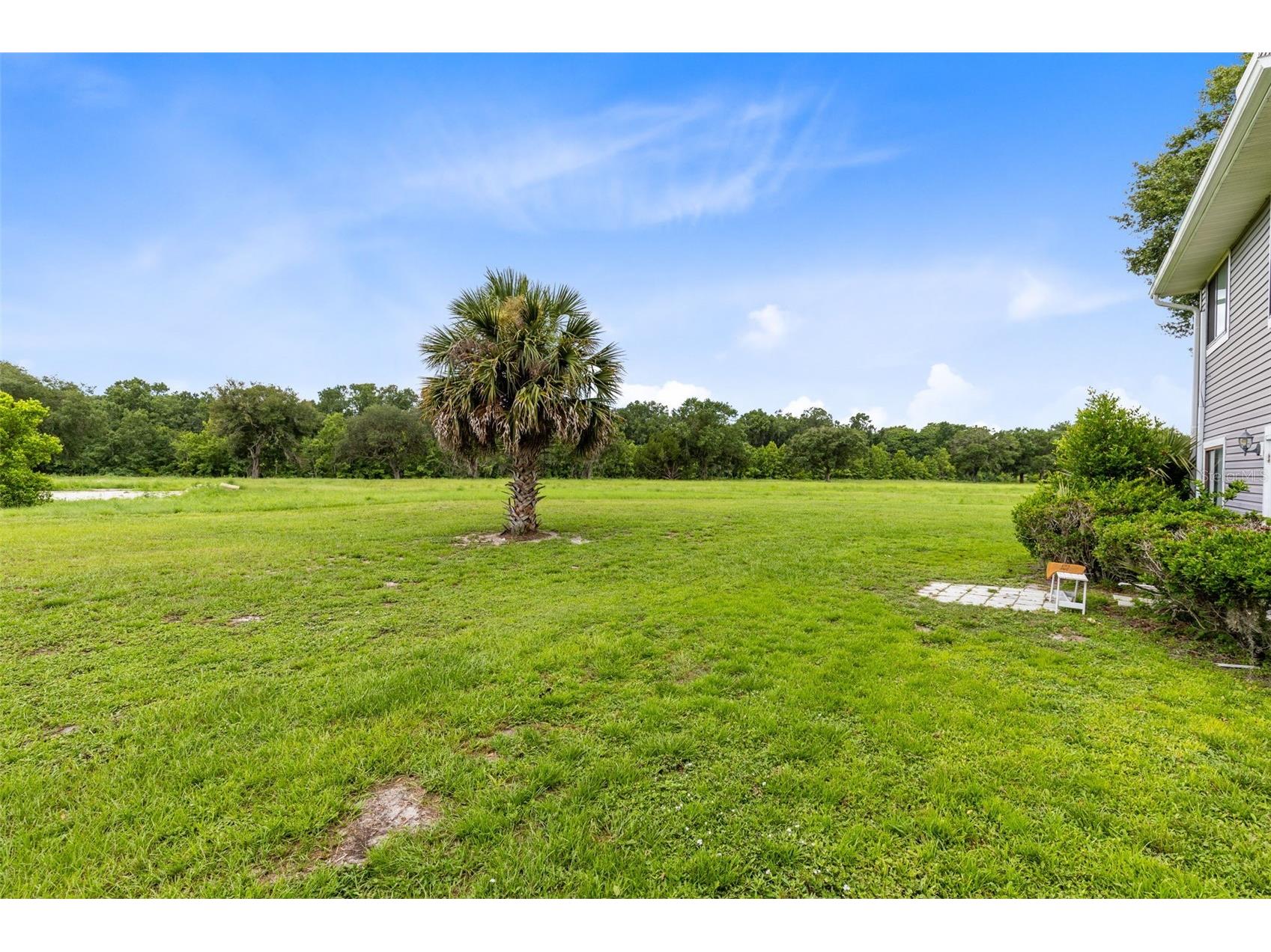 9514 Darien Avenue #9514 Orlando FL 32817 O6422933 image19