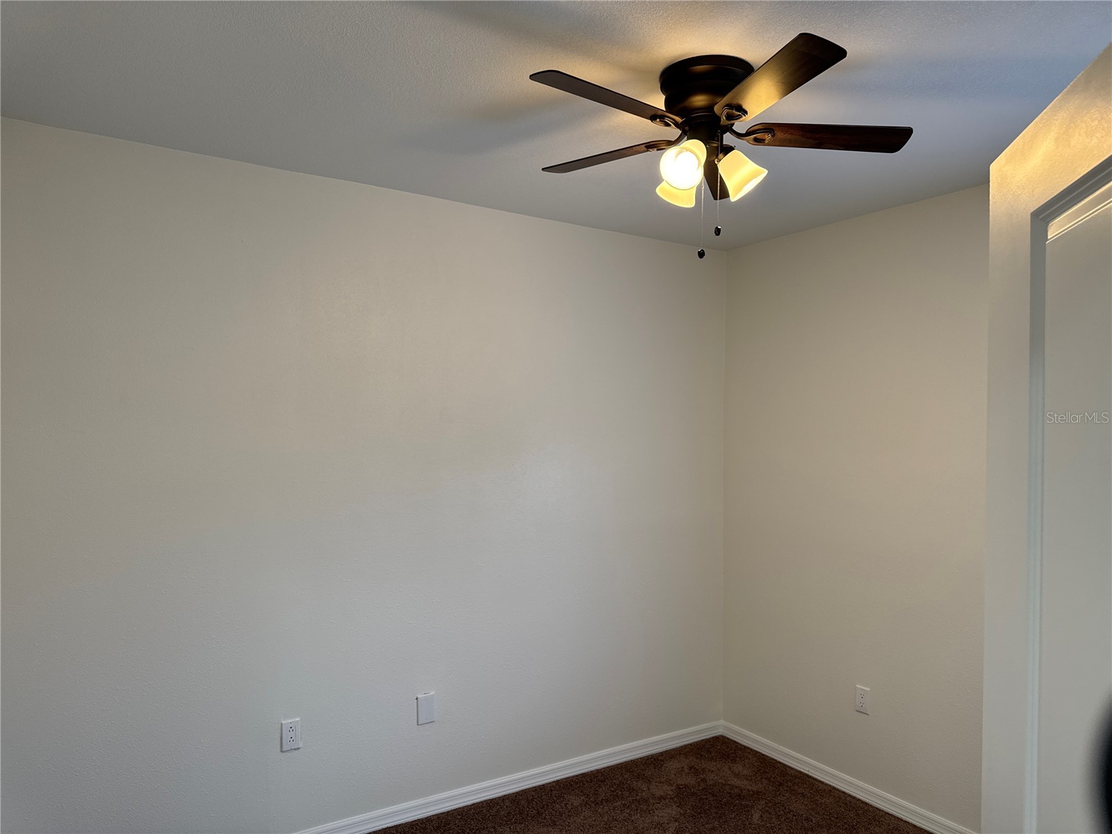 9515 Grovedale Circle #101 Riverview FL 33578 TB8481188 image15