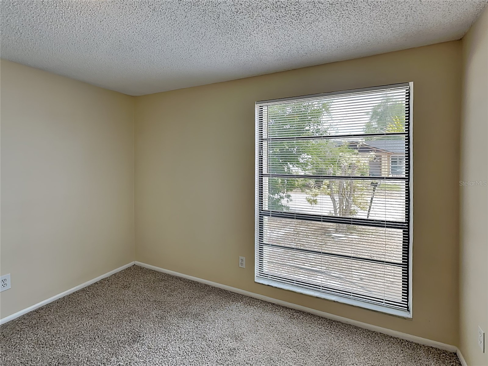 9515 Letterstone Court Tampa FL 33615 TB8508411 image12
