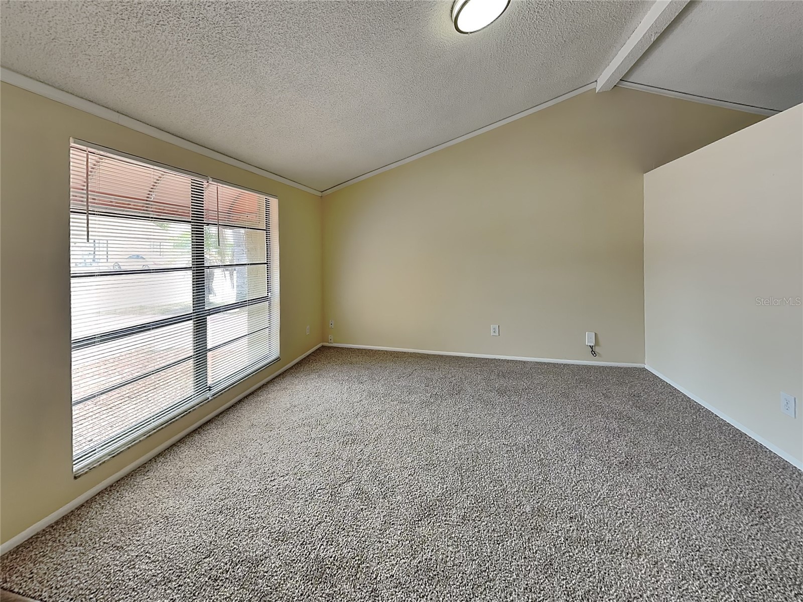 9515 Letterstone Court Tampa FL 33615 TB8508411 image7