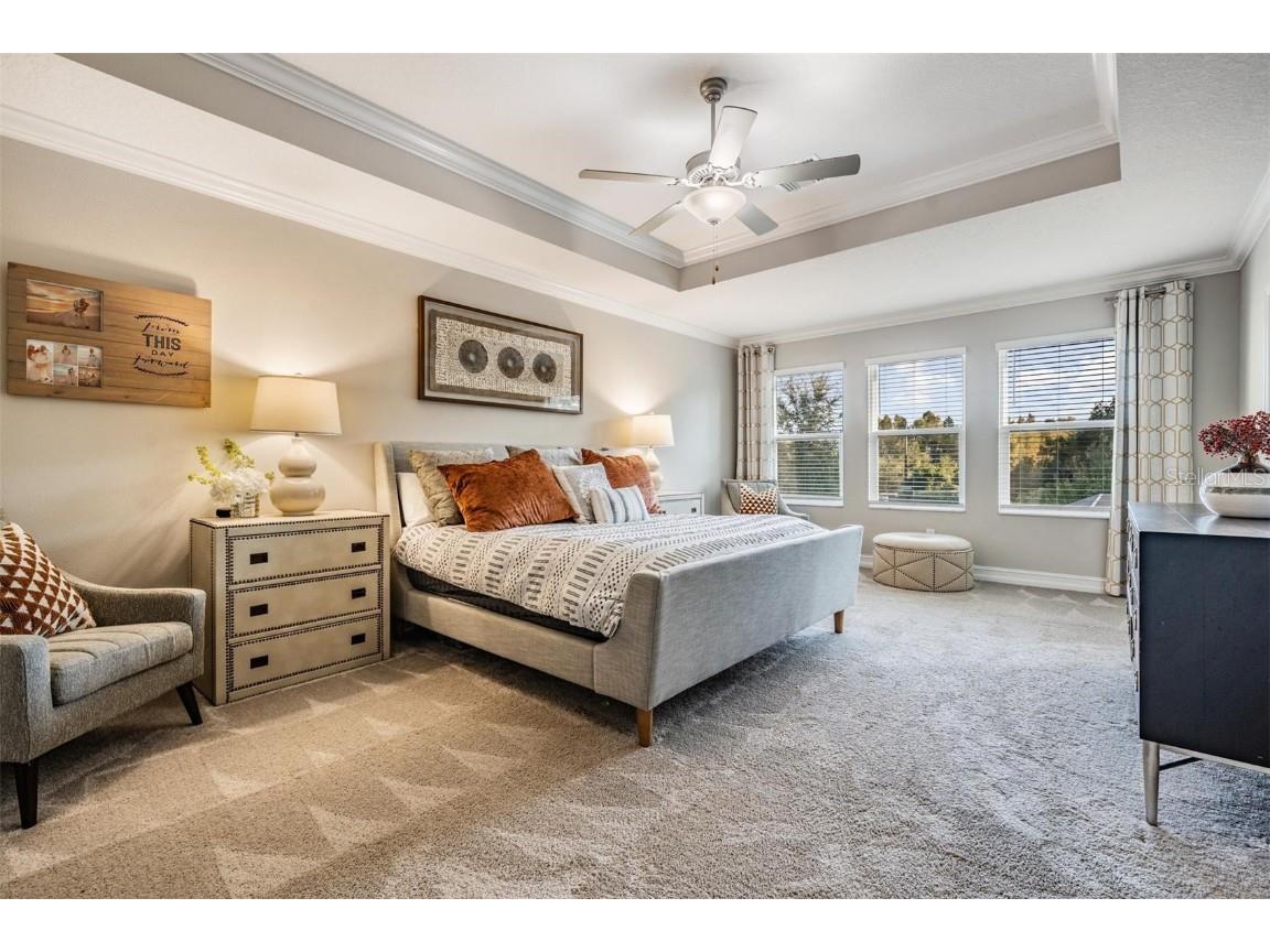 9515 Little Bluestem Drive Land O Lakes FL 34637 TB8445993 image33