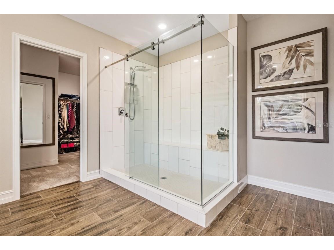 9515 Little Bluestem Drive Land O Lakes FL 34637 TB8445993 image38