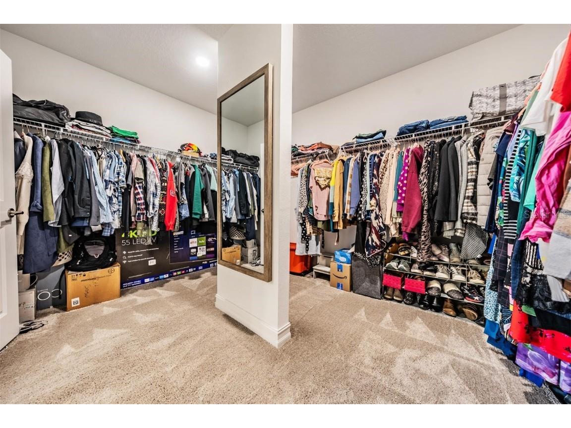 9515 Little Bluestem Drive Land O Lakes FL 34637 TB8445993 image39