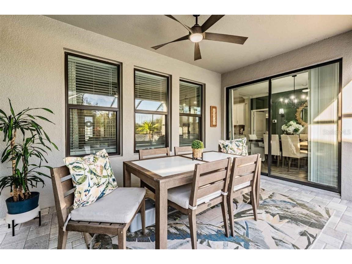 9515 Little Bluestem Drive Land O Lakes FL 34637 TB8445993 image40