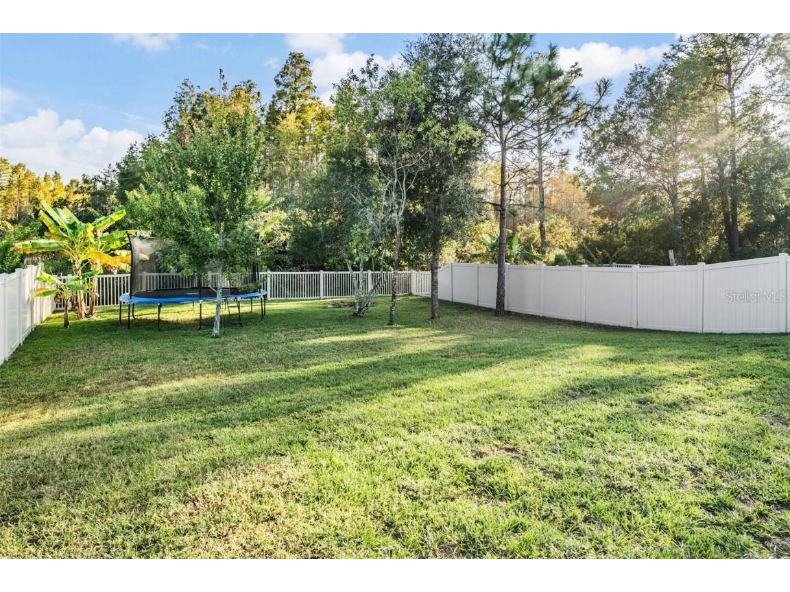 9515 Little Bluestem Drive Land O Lakes FL 34637 TB8445993 image41