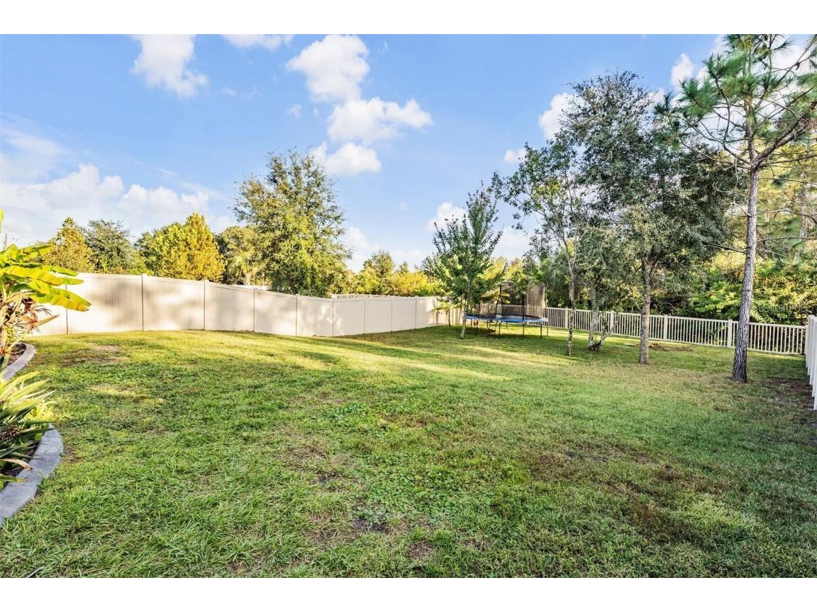 9515 Little Bluestem Drive Land O Lakes FL 34637 TB8445993 image43