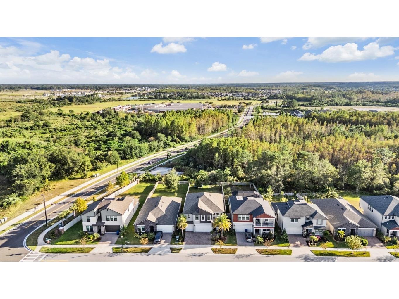 9515 Little Bluestem Drive Land O Lakes FL 34637 TB8445993 image47