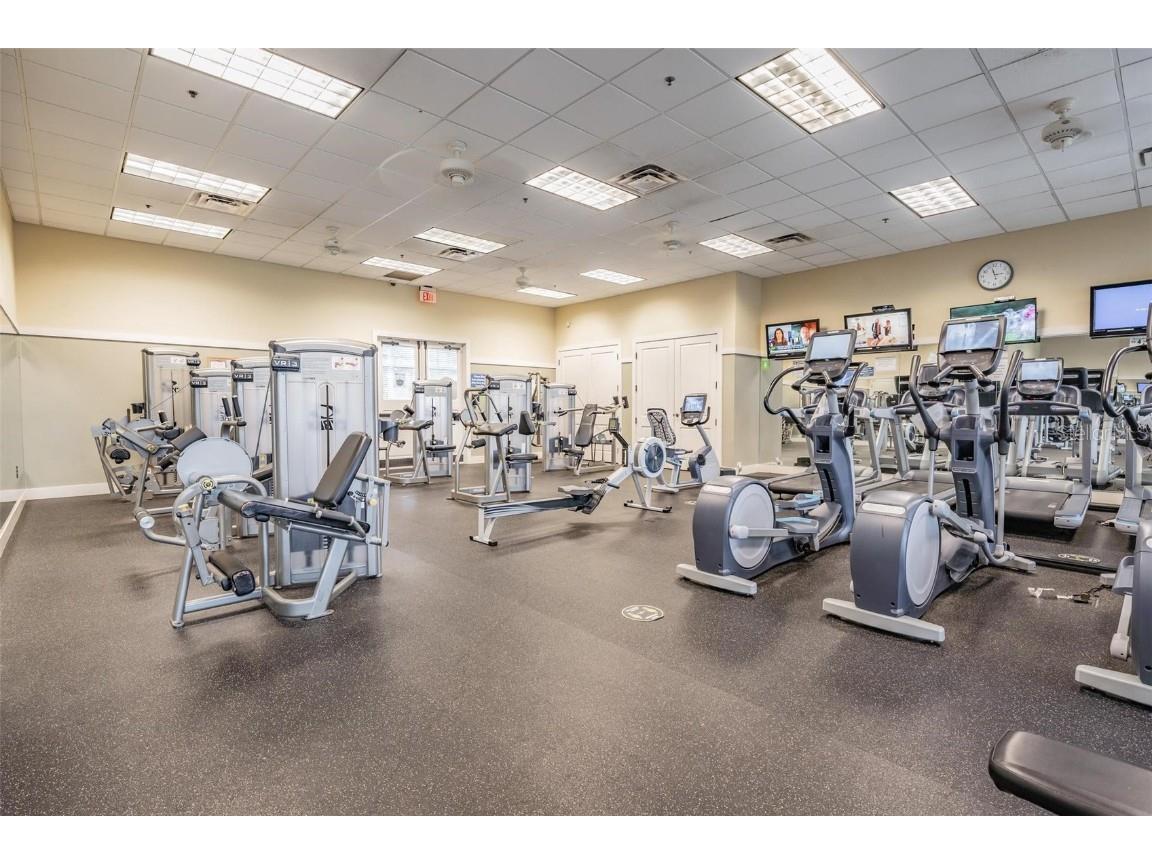 9515 Little Bluestem Drive Land O Lakes FL 34637 TB8445993 image59