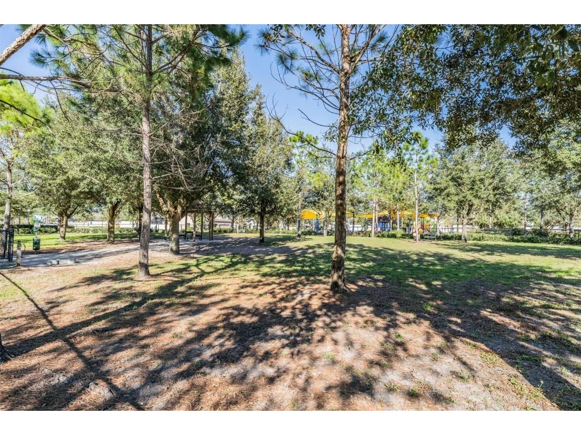 9515 Little Bluestem Drive Land O Lakes FL 34637 TB8445993 image69