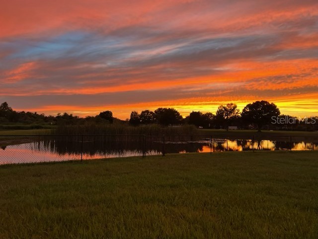 9515 Simeon Drive Land O Lakes FL 34638 TB8487207 image10