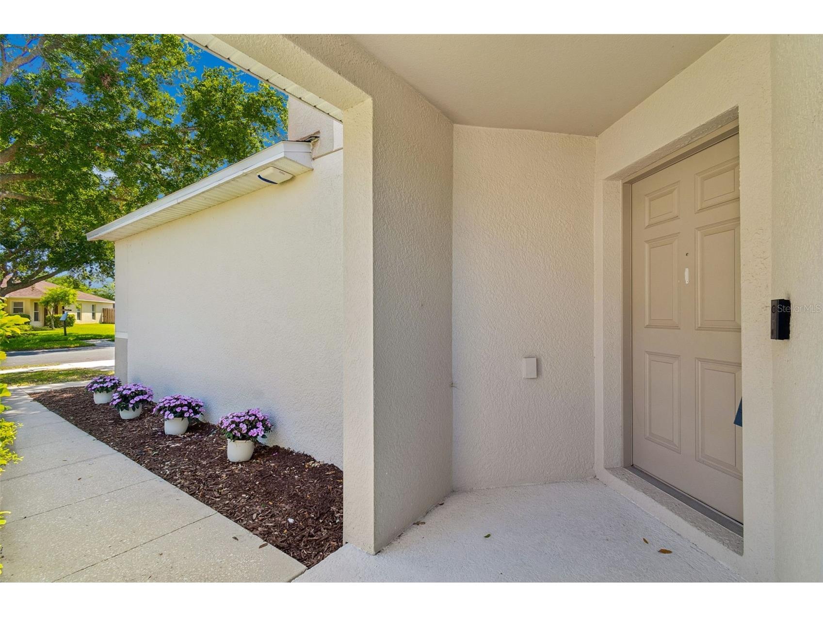 9515 Simeon Drive Land O Lakes FL 34638 TB8487207 image15