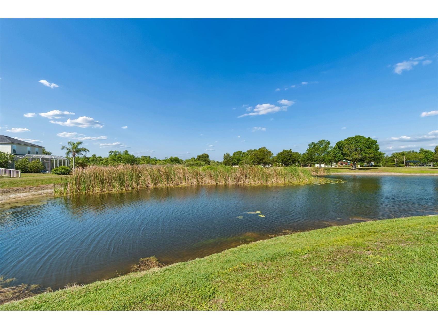 9515 Simeon Drive Land O Lakes FL 34638 TB8487207 image2