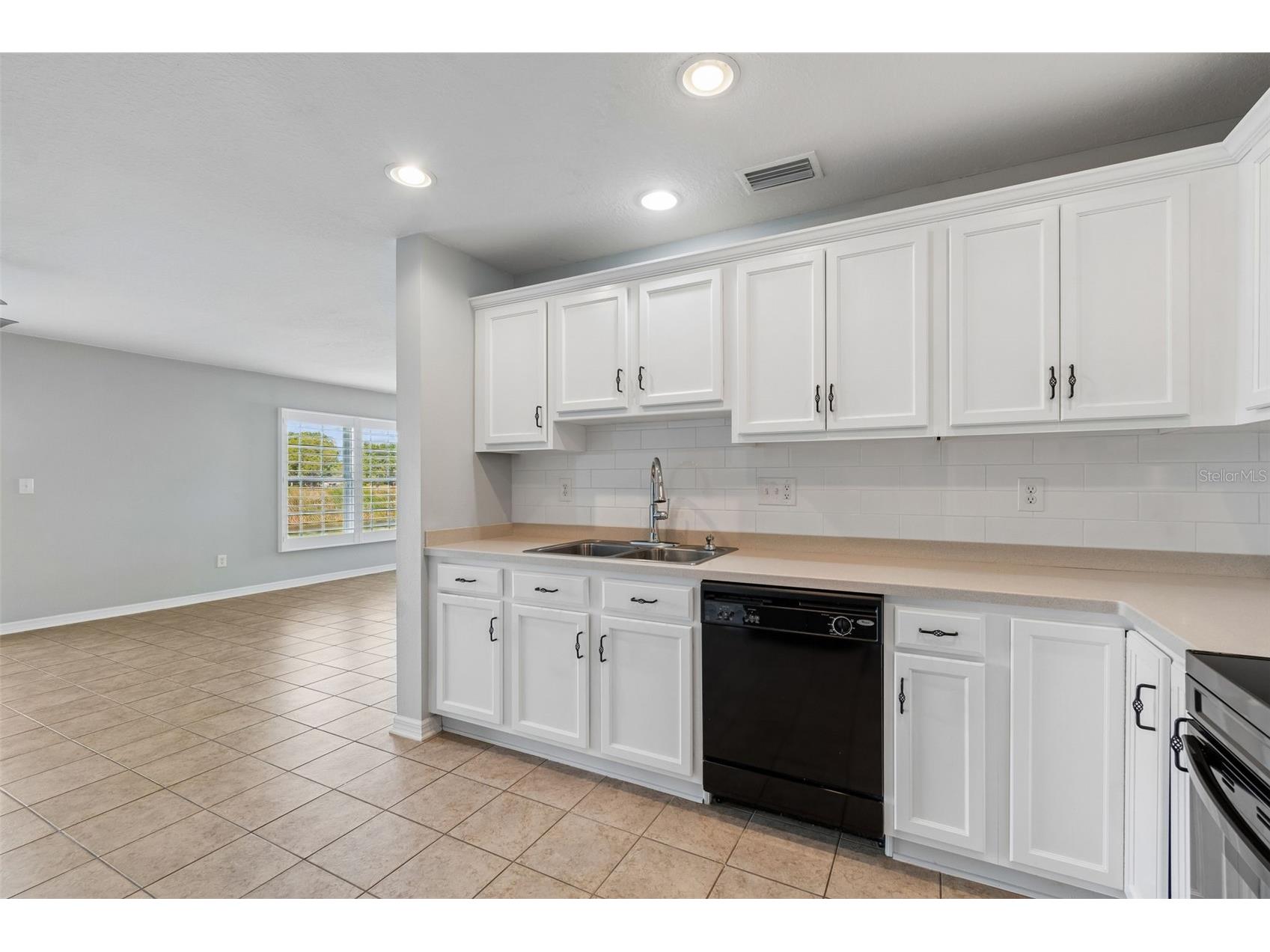 9515 Simeon Drive Land O Lakes FL 34638 TB8487207 image33
