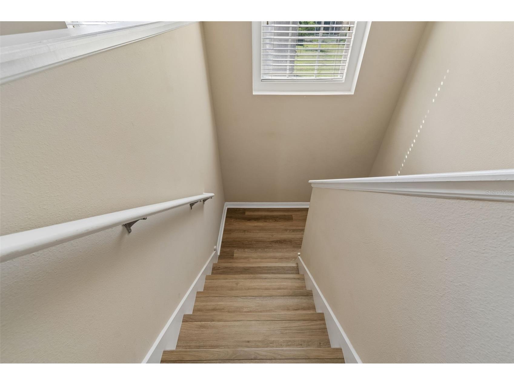 9515 Simeon Drive Land O Lakes FL 34638 TB8487207 image36
