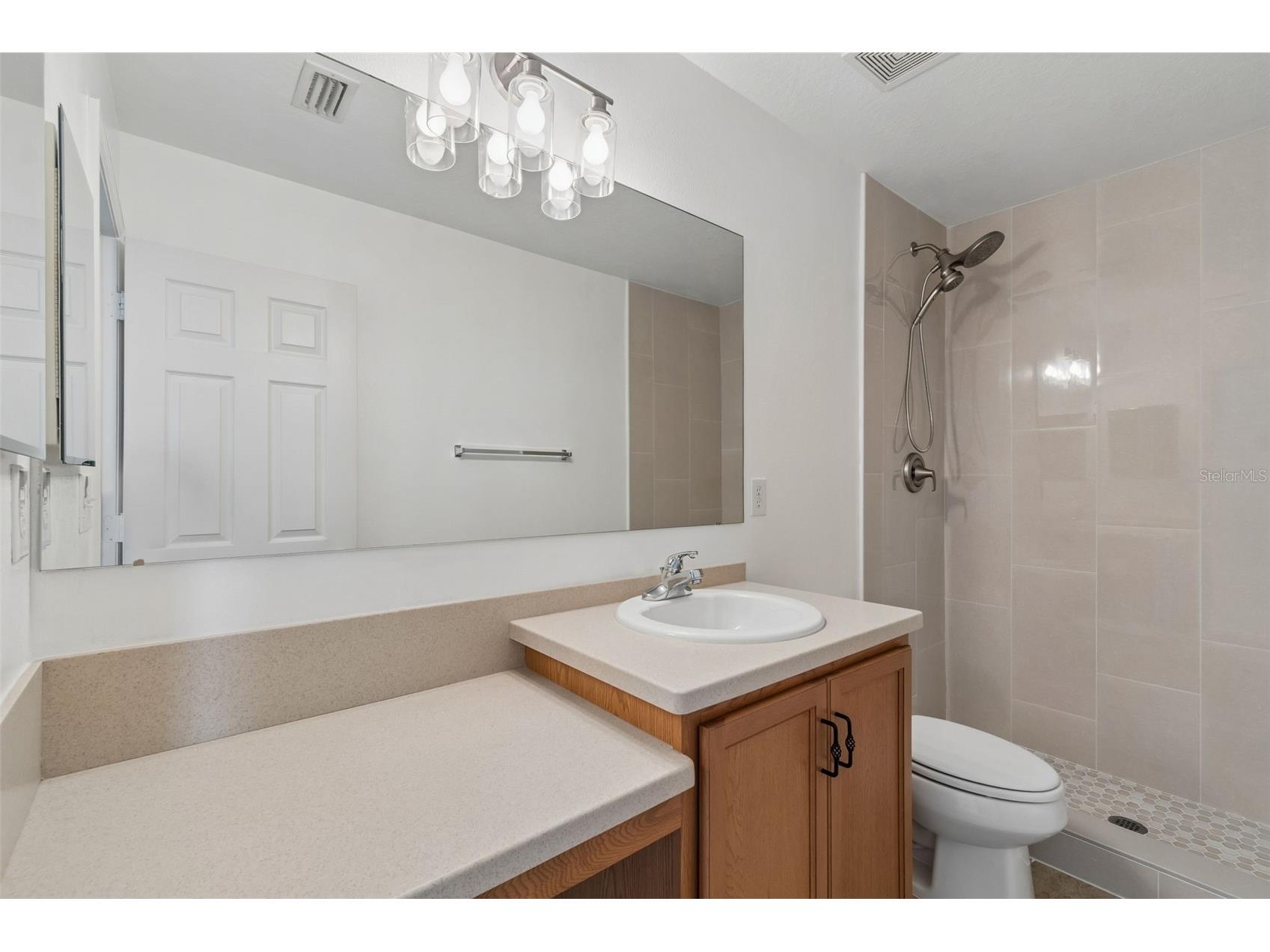 9515 Simeon Drive Land O Lakes FL 34638 TB8487207 image43