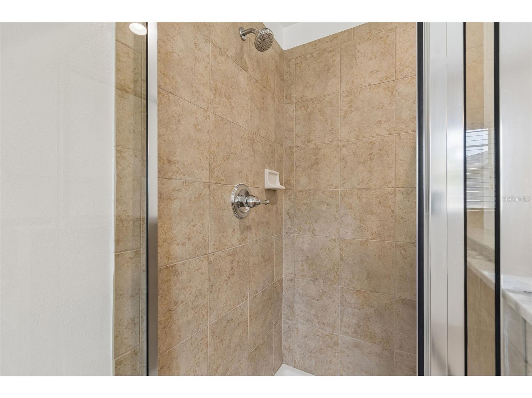 9515 Simeon Drive Land O Lakes FL 34638 TB8487207 image60