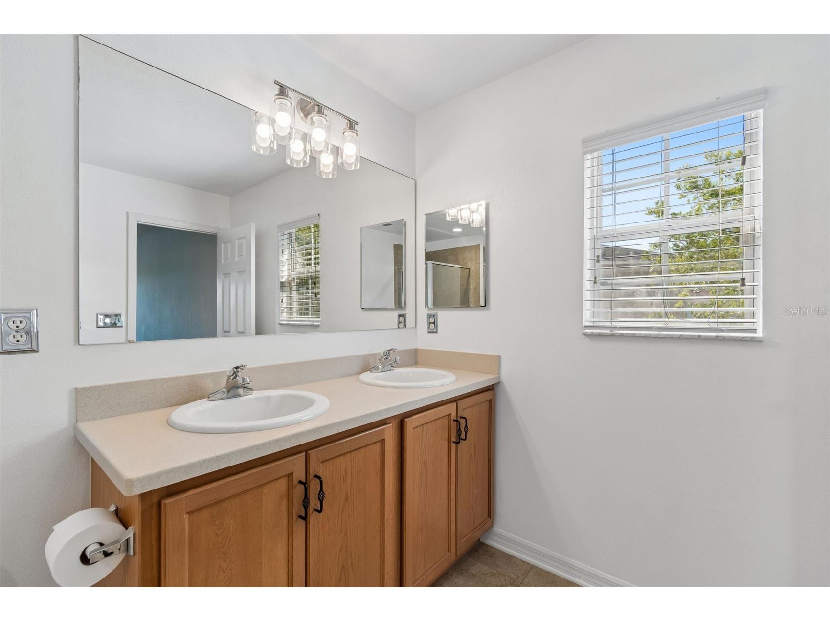 9515 Simeon Drive Land O Lakes FL 34638 TB8487207 image61