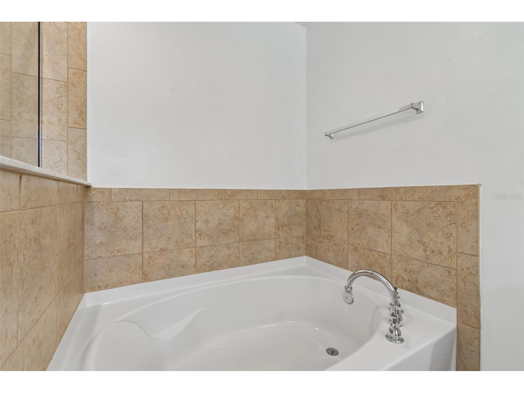 9515 Simeon Drive Land O Lakes FL 34638 TB8487207 image62
