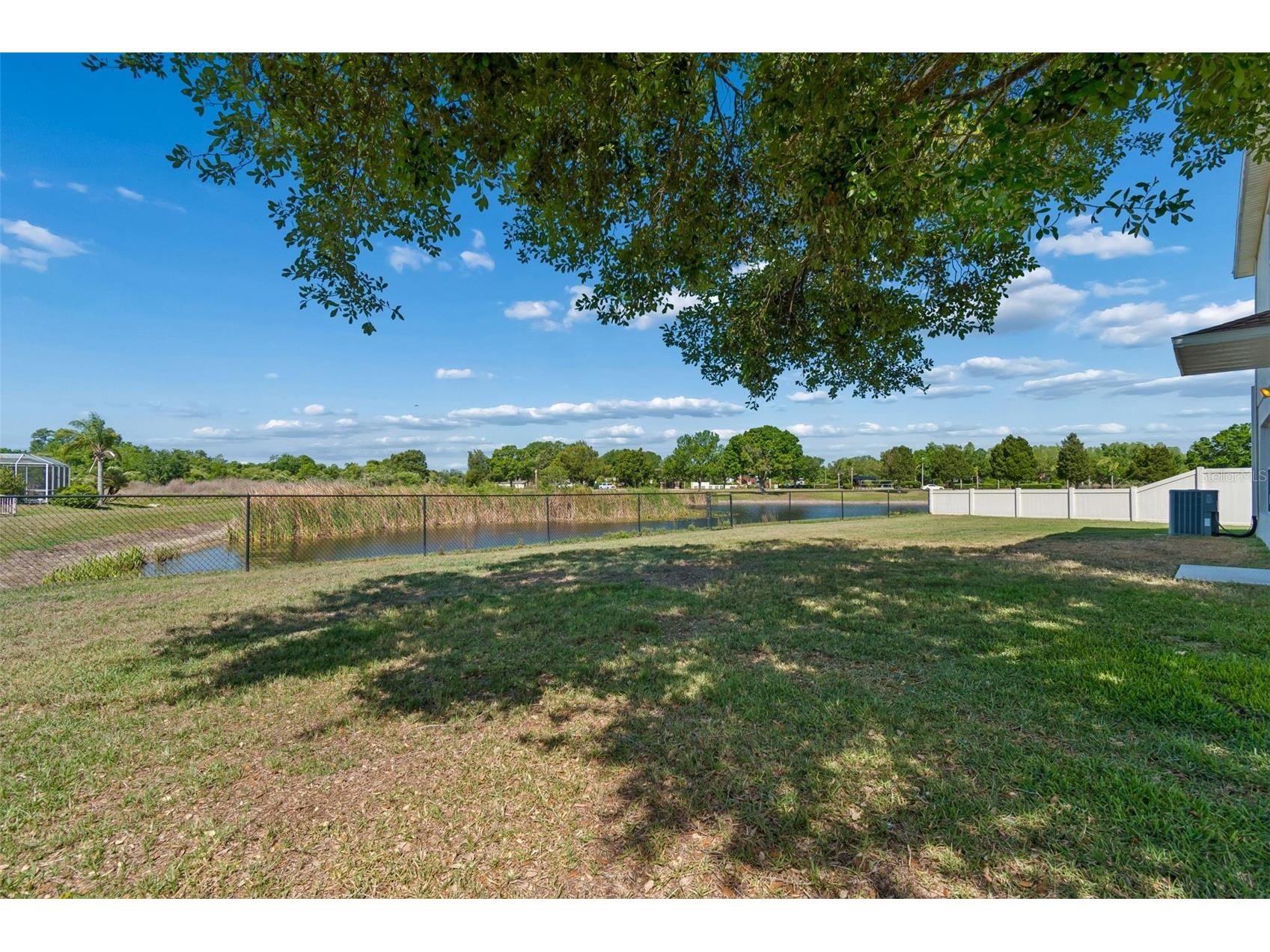9515 Simeon Drive Land O Lakes FL 34638 TB8487207 image68