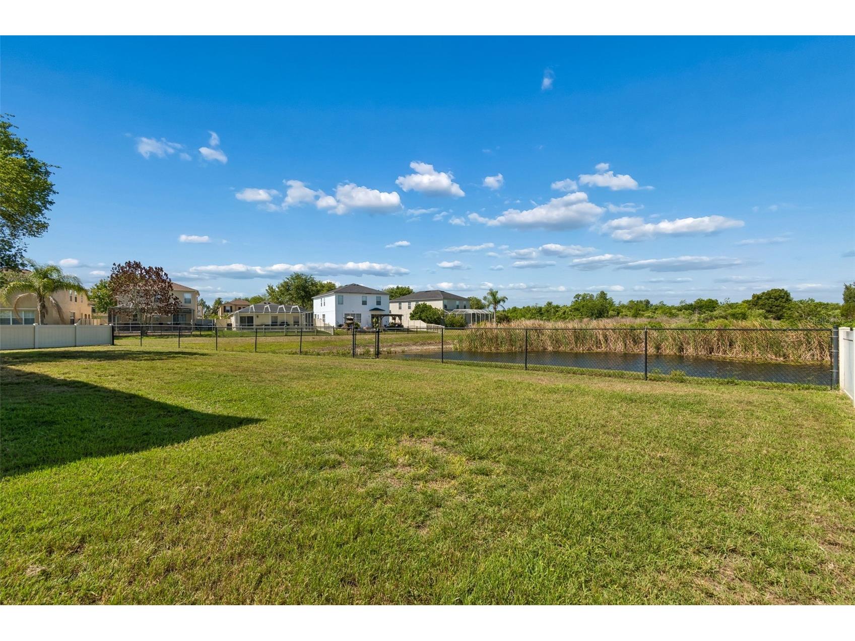 9515 Simeon Drive Land O Lakes FL 34638 TB8487207 image70