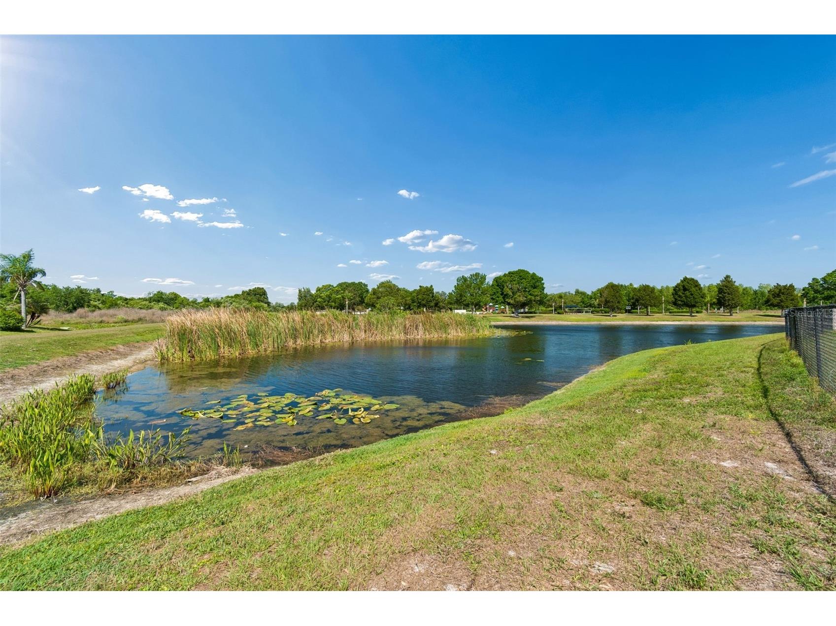 9515 Simeon Drive Land O Lakes FL 34638 TB8487207 image73
