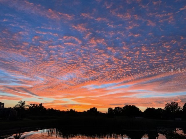 9515 Simeon Drive Land O Lakes FL 34638 TB8487207 image81