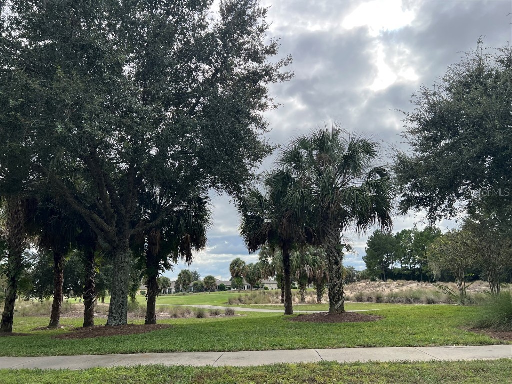 9515 SW 76th Street Ocala FL 34481 OM710697 image52