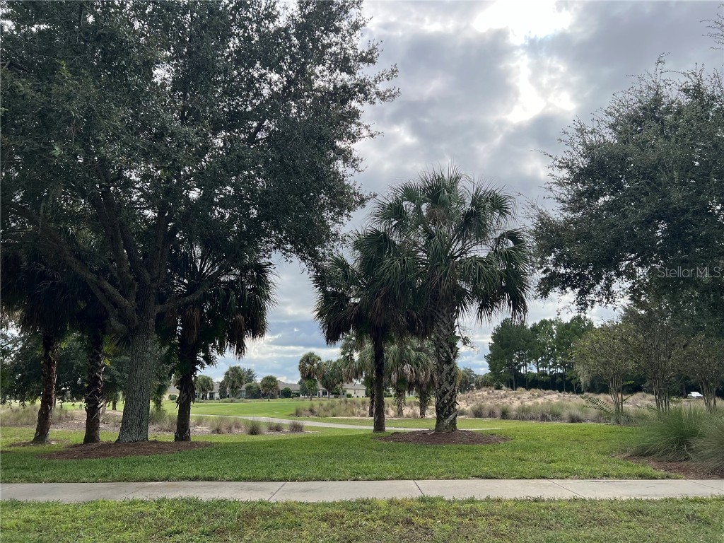 9515 SW 76th Street Ocala FL 34481 OM710697 image53