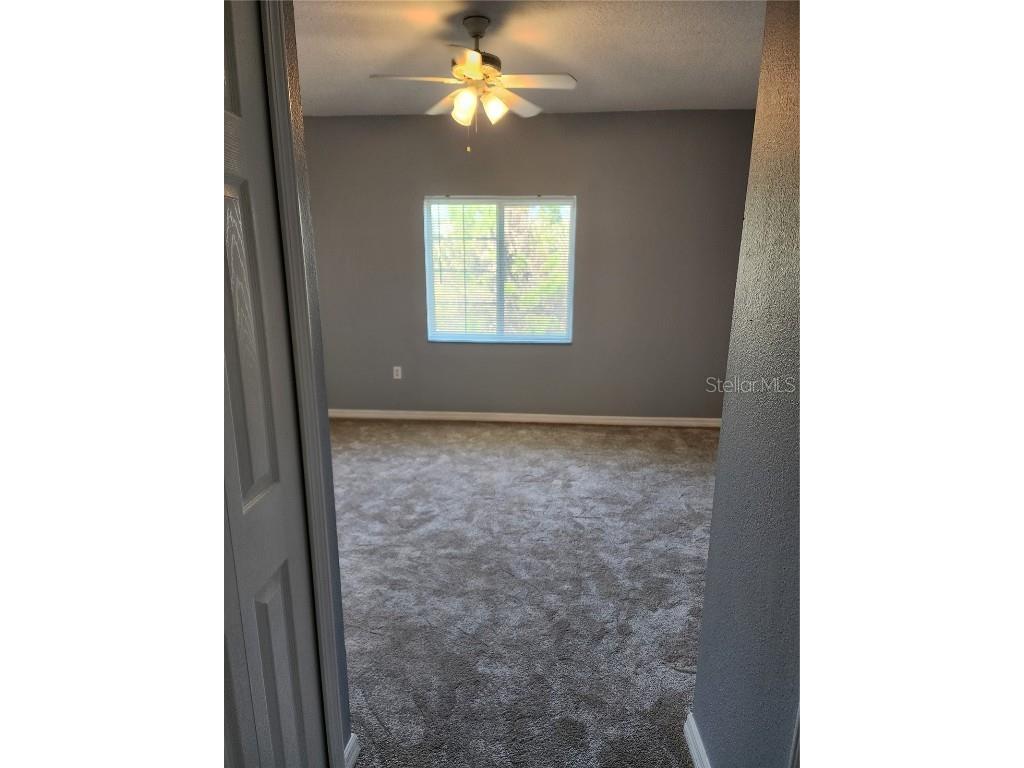 9516 Newdale Way #201 Riverview FL 33578 TB8423484 image11