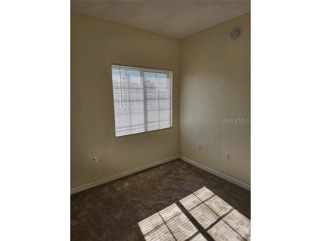 9516 Newdale Way #201 Riverview FL 33578 TB8423484 image19