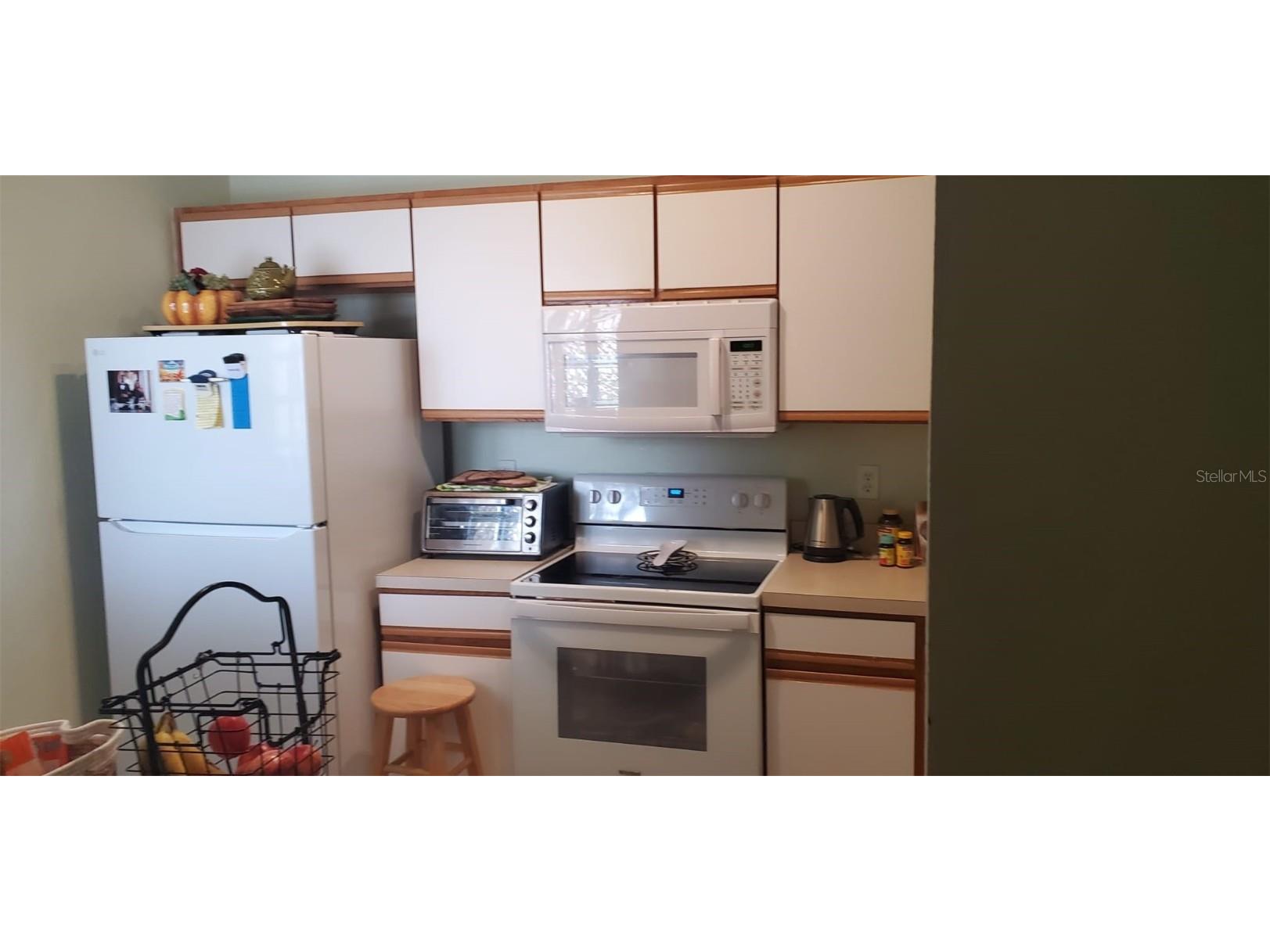 9517 Amberdale Court #202 Riverview FL 33578 TB8404322 image13