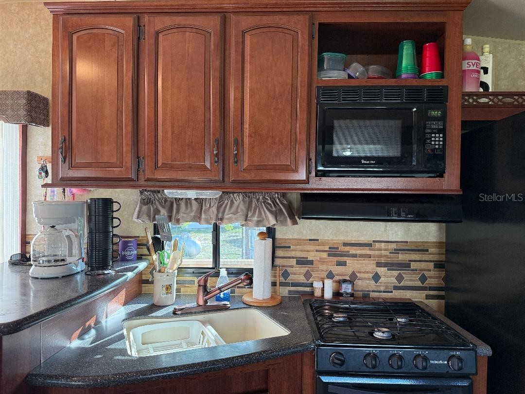 9517 Black Bear Drive Weeki Wachee FL 34613 W7880329 image4