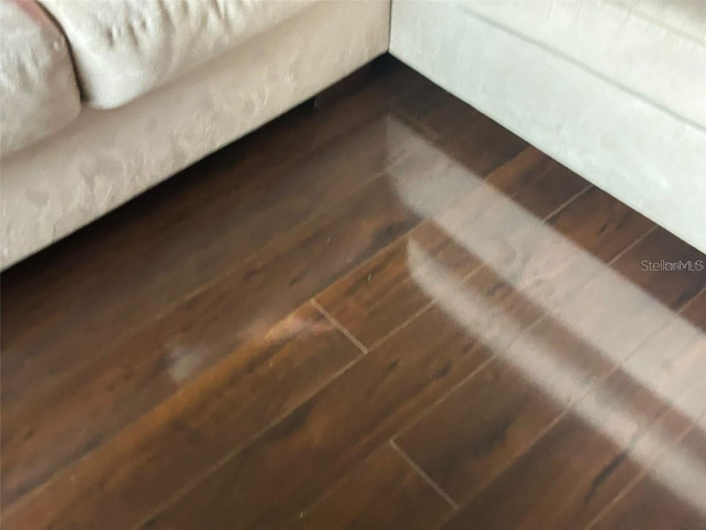 9519 Amberdale Court #202 Riverview FL 33578 TB8381697 image4