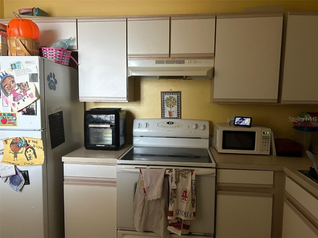 9519 Amberdale Court #202 Riverview FL 33578 TB8381697 image5