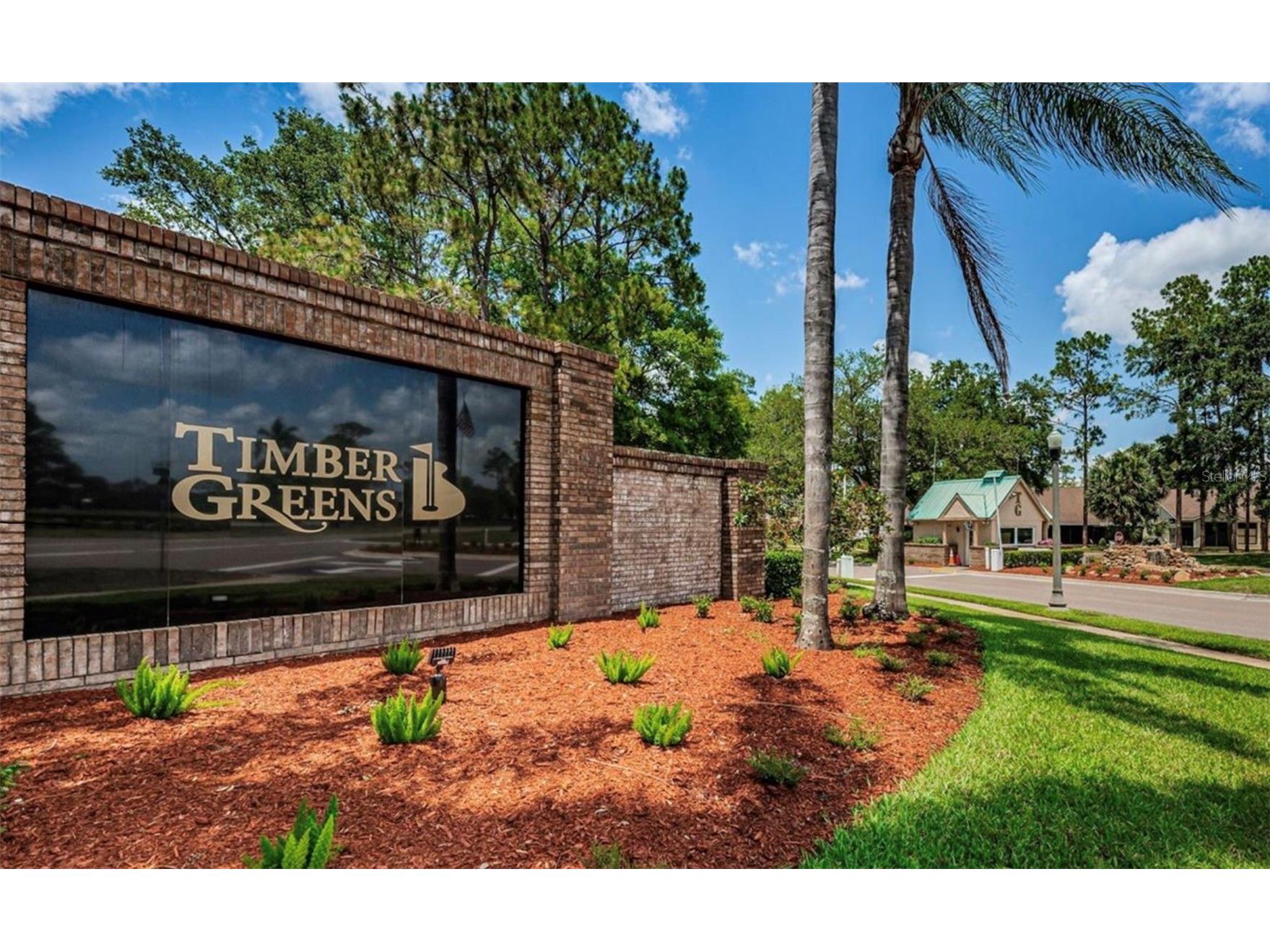 9519 Scenic Pine Court New Port Richey FL 34655 W7885992 image42