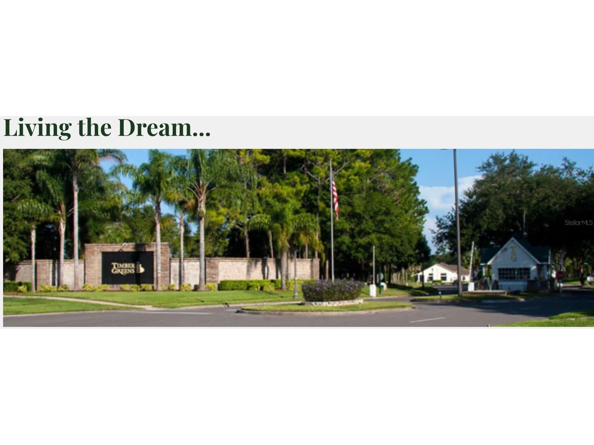 9519 Scenic Pine Court New Port Richey FL 34655 W7885992 image43