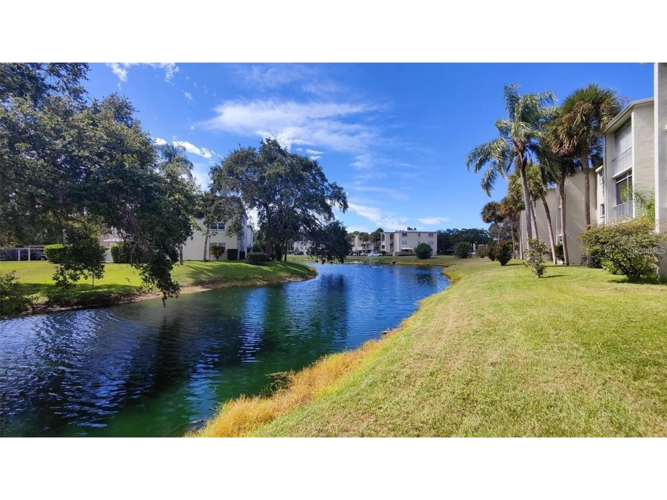 952 Virginia Street #103 Dunedin FL 34698 W7881124 image1