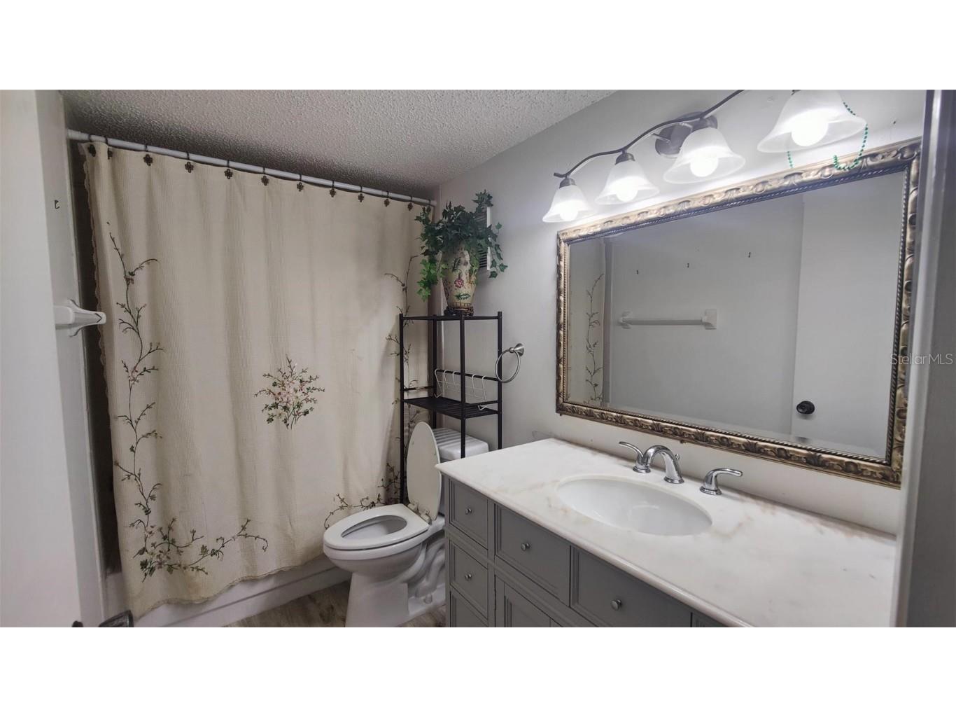 952 Virginia Street #103 Dunedin FL 34698 W7881124 image11