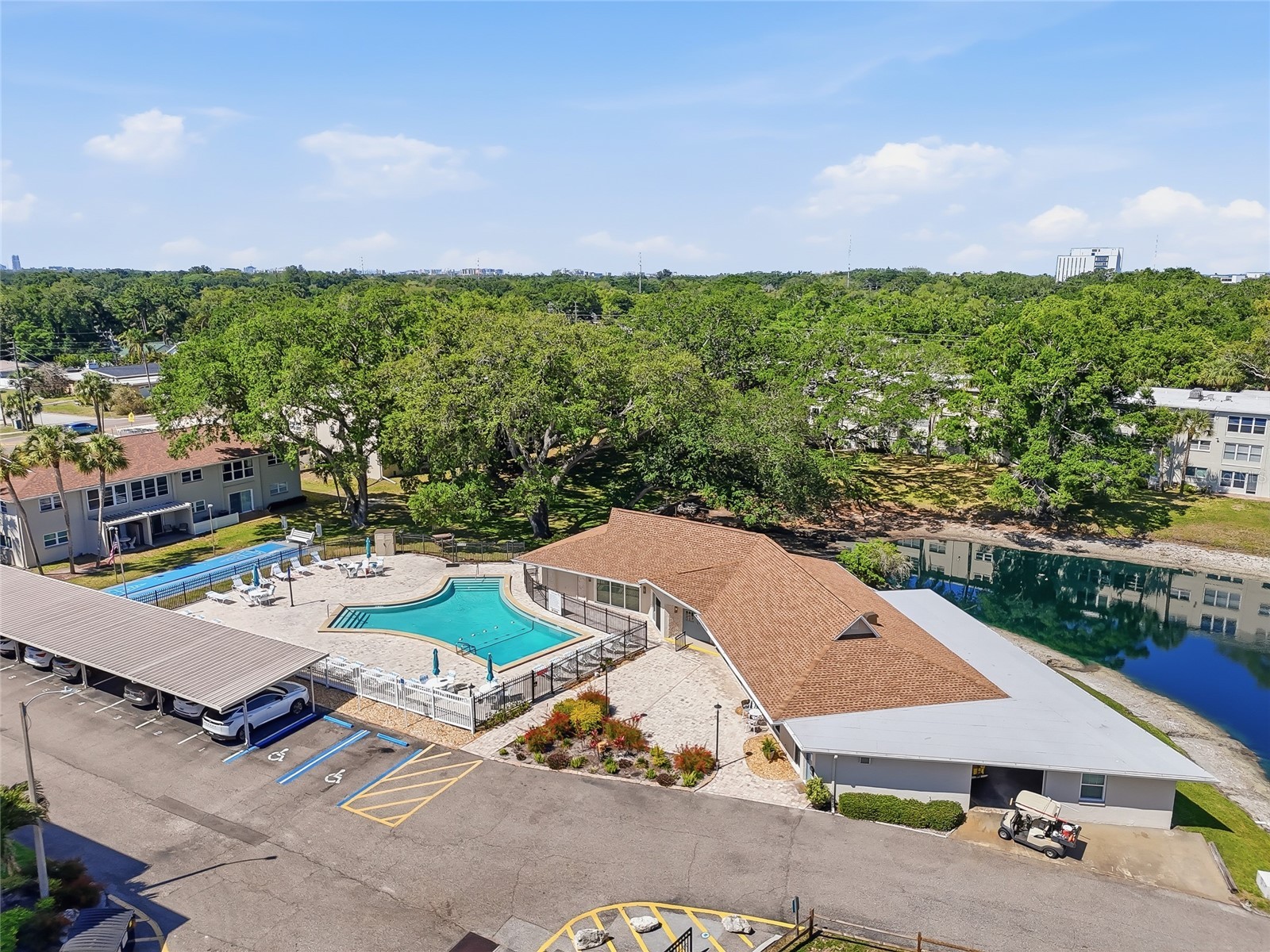 952 Virginia Street #202 Dunedin FL 34698 TB8498756 image50