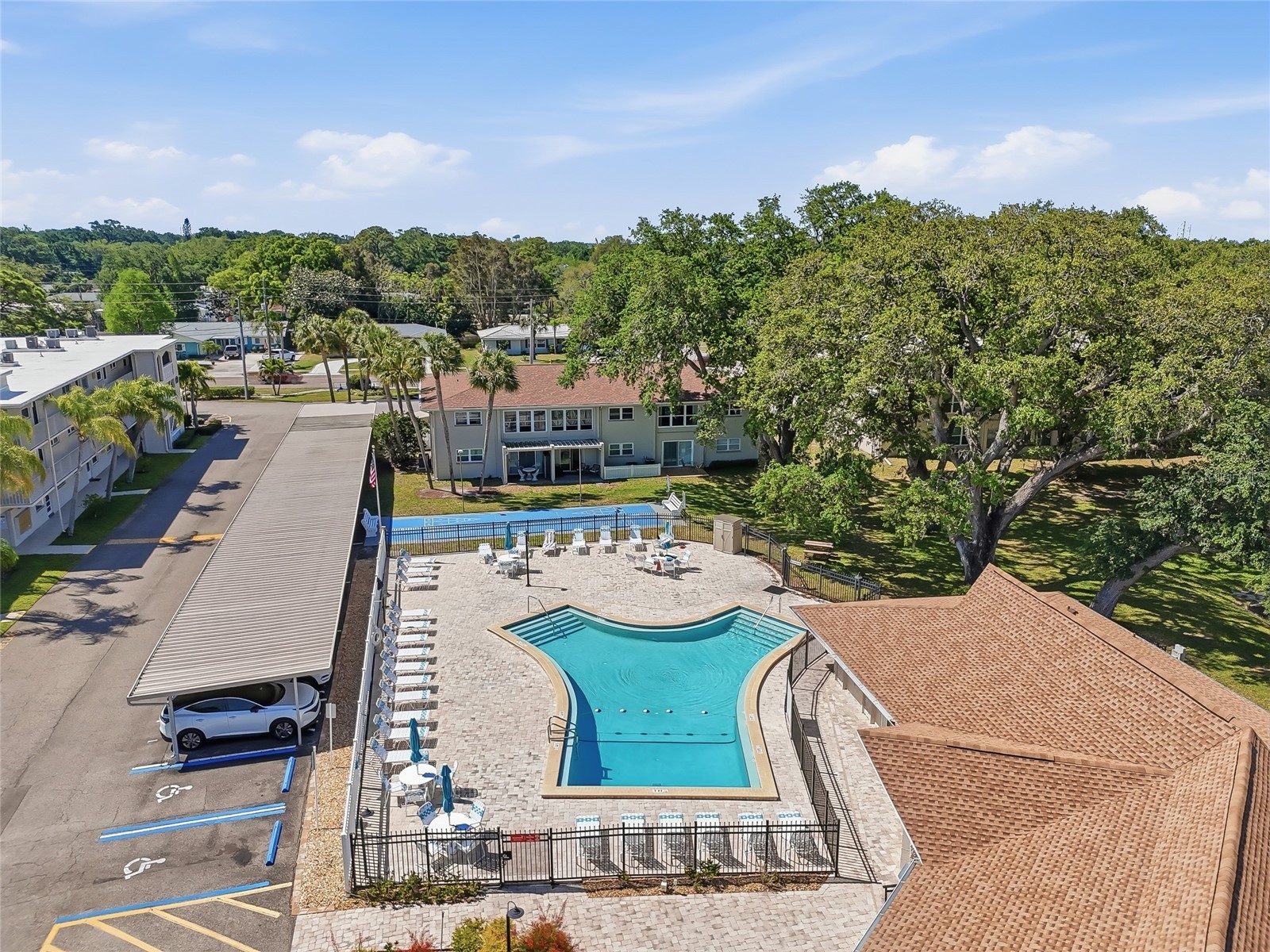 952 Virginia Street #202 Dunedin FL 34698 TB8498756 image51
