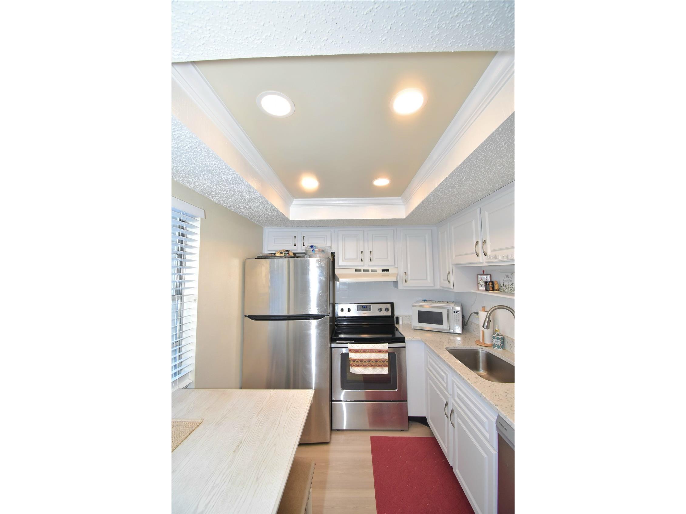 952 Virginia Street #209 Dunedin FL 34698 TB8499465 image18
