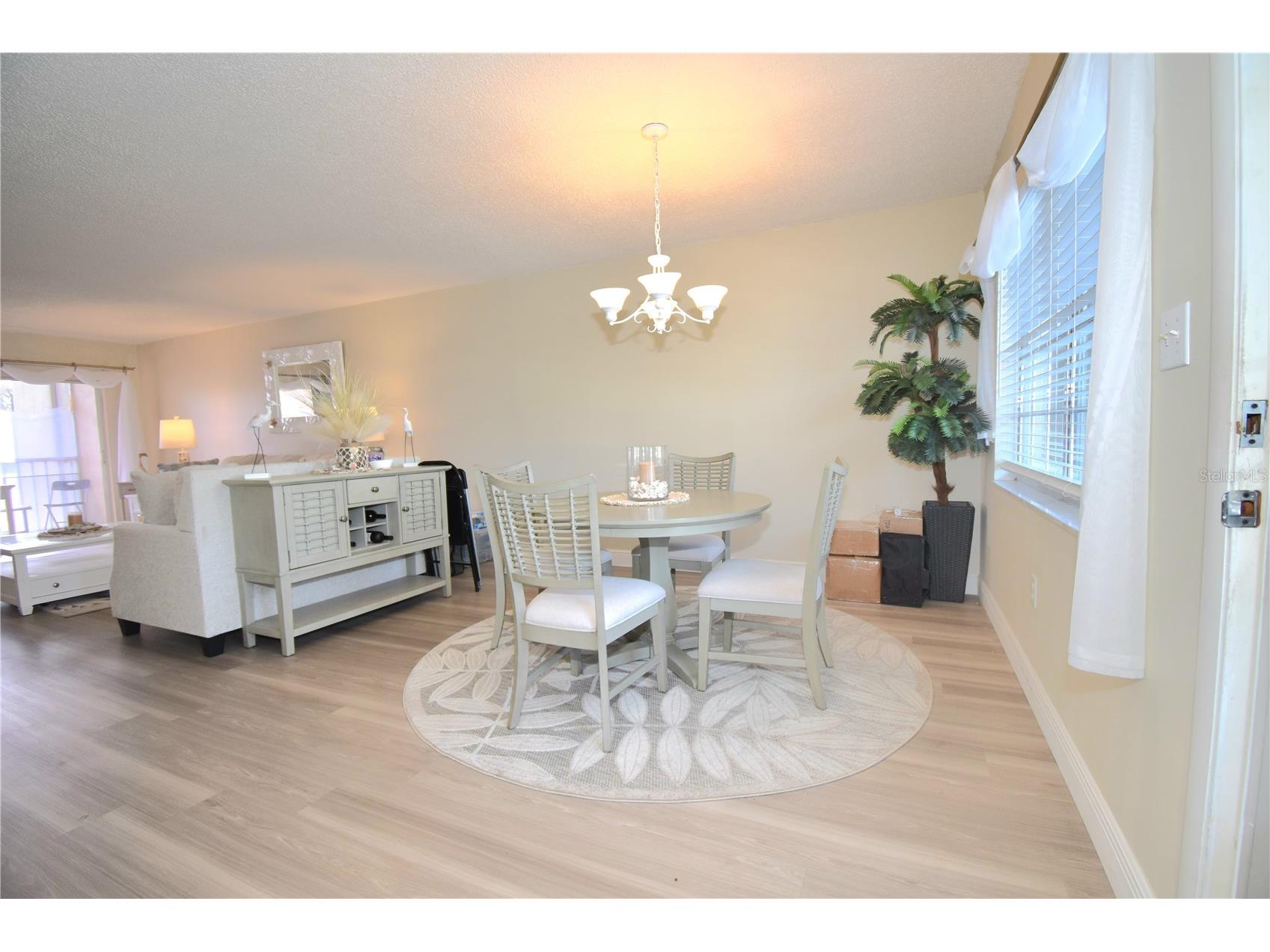952 Virginia Street #209 Dunedin FL 34698 TB8499465 image19