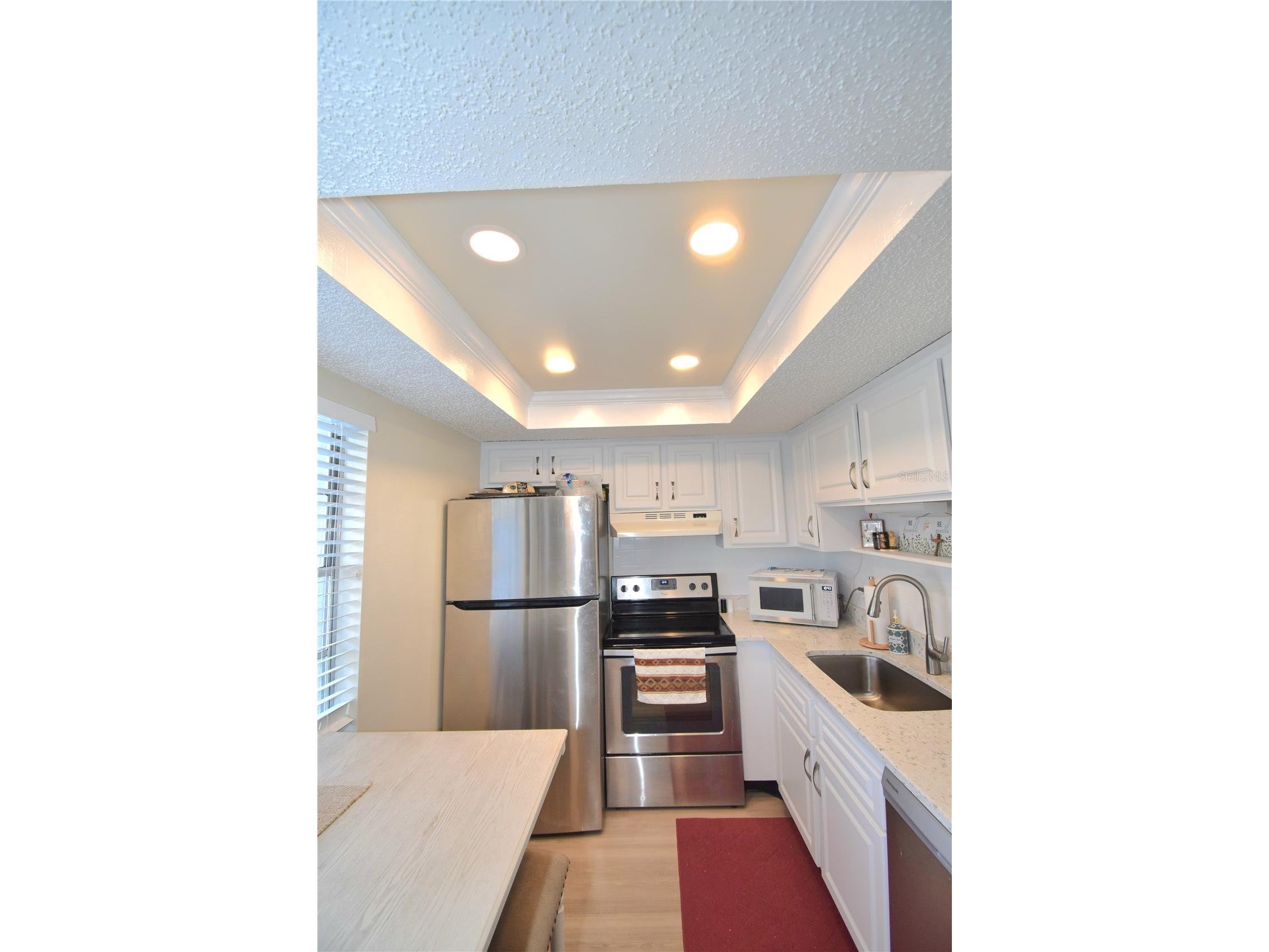 952 Virginia Street #209 Dunedin FL 34698 TB8499465 image4