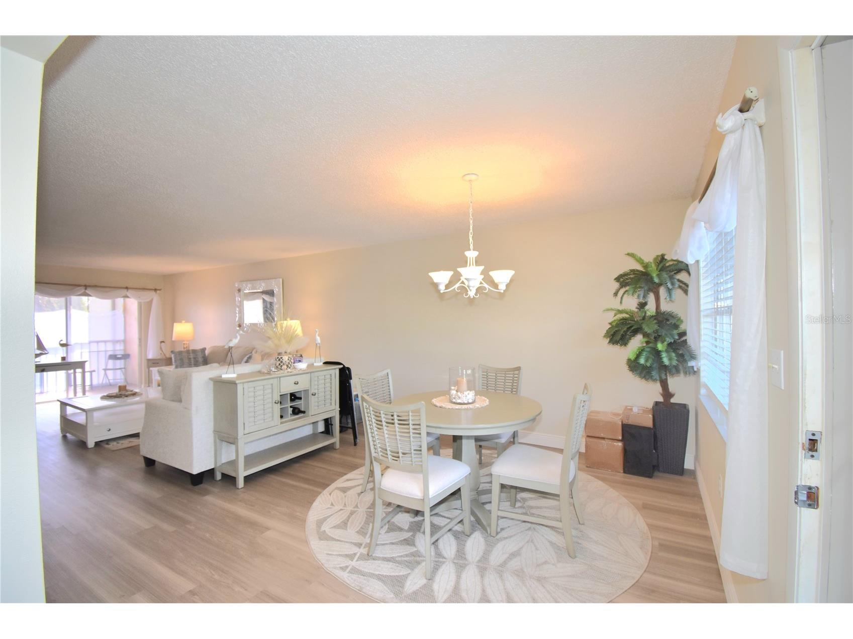 952 Virginia Street #209 Dunedin FL 34698 TB8499465 image5
