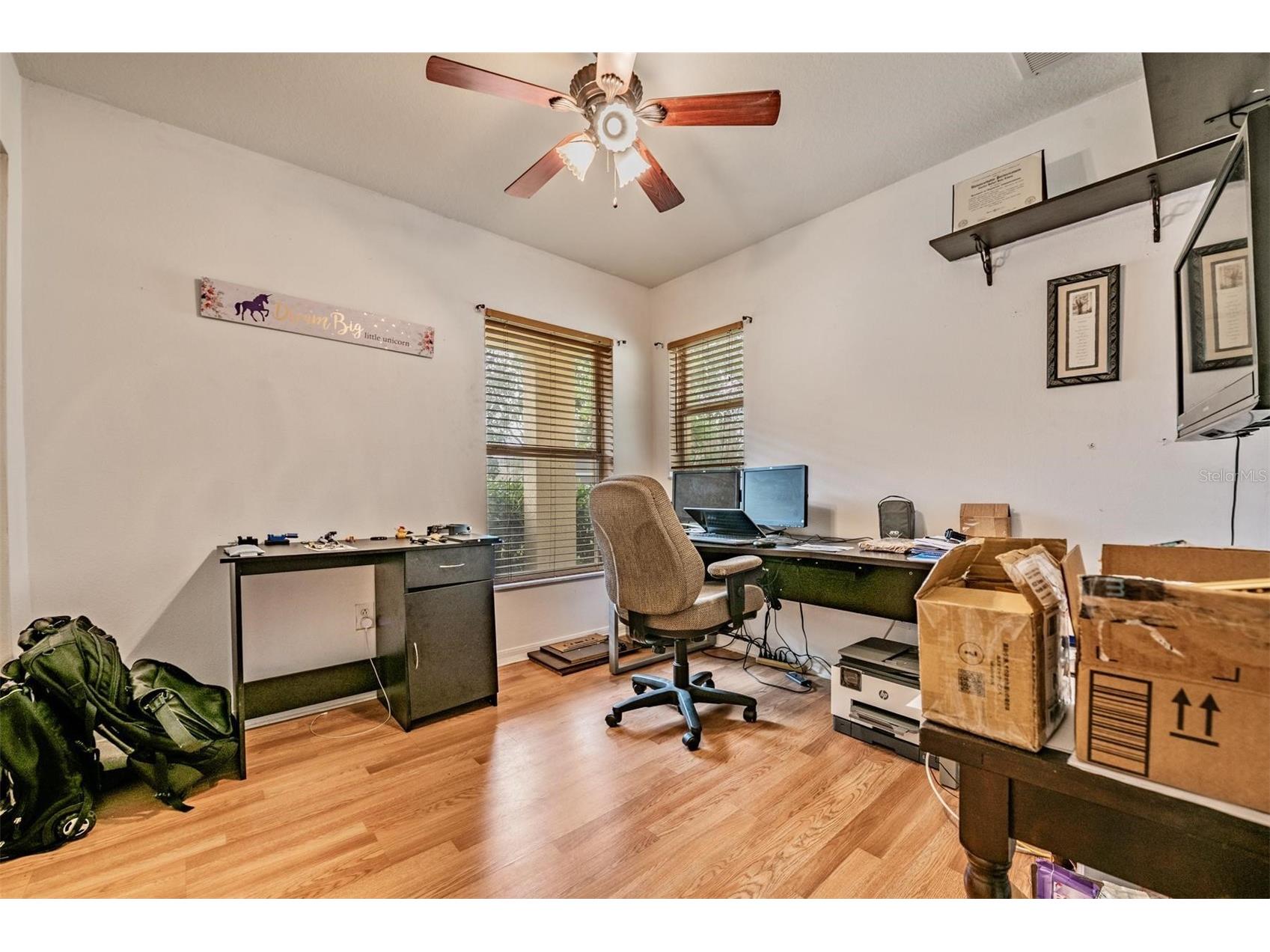 9520 Simeon Drive Land O Lakes FL 34638 TB8462518 image19