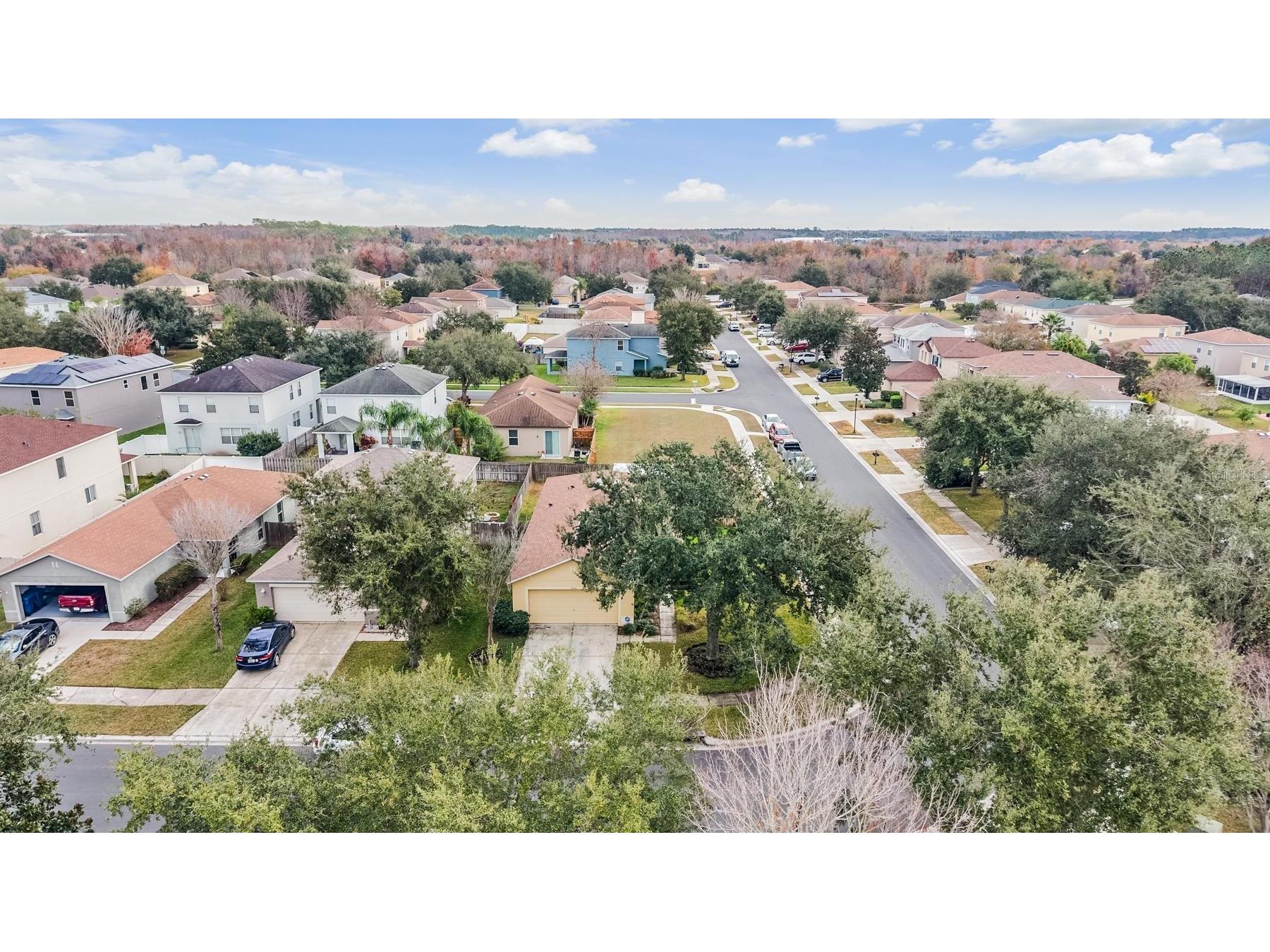 9520 Simeon Drive Land O Lakes FL 34638 TB8462518 image29