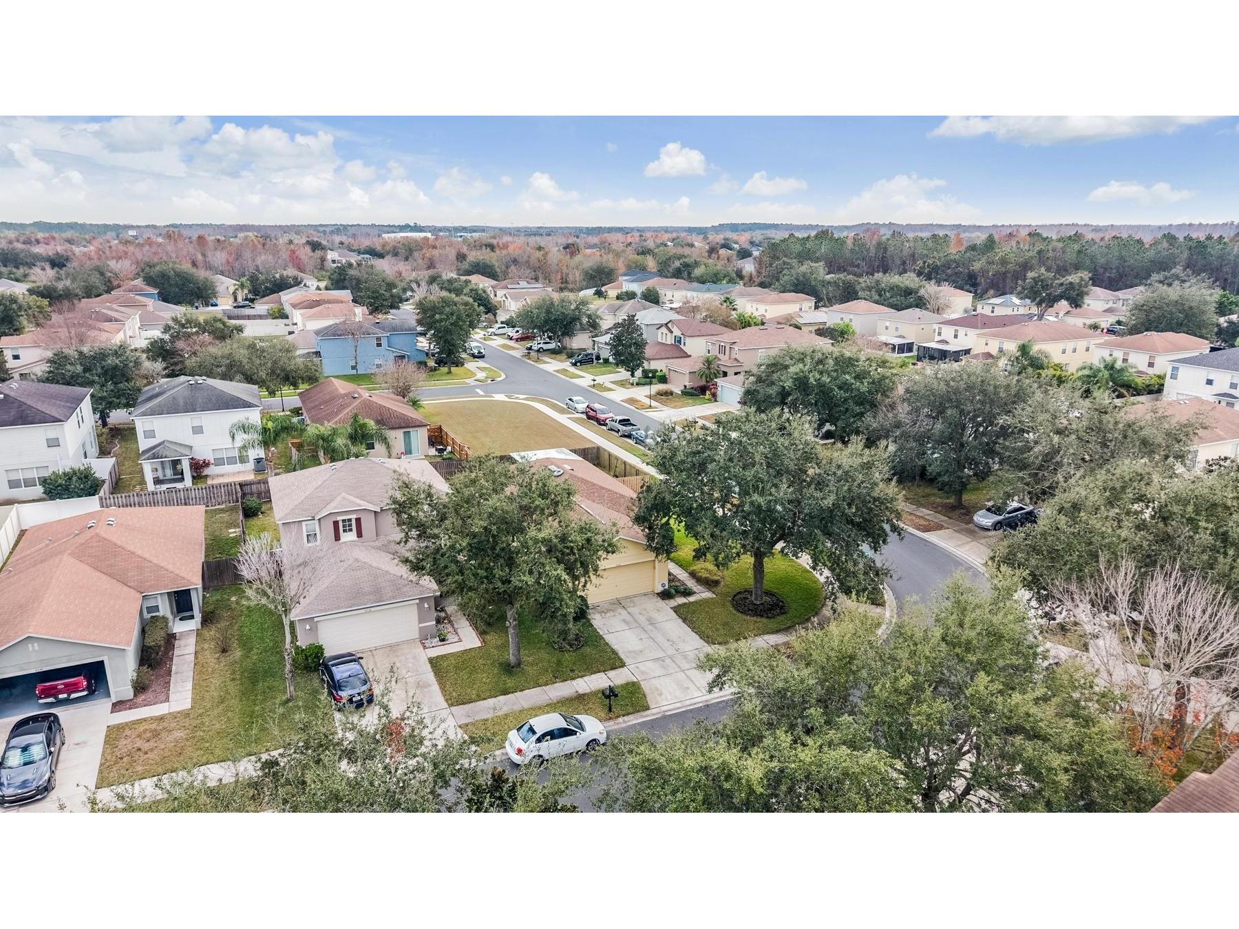 9520 Simeon Drive Land O Lakes FL 34638 TB8462518 image30