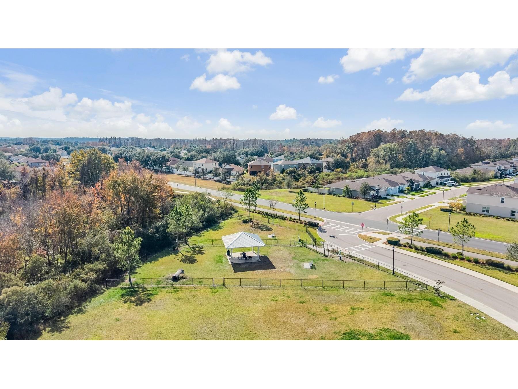 9520 Simeon Drive Land O Lakes FL 34638 TB8462518 image34